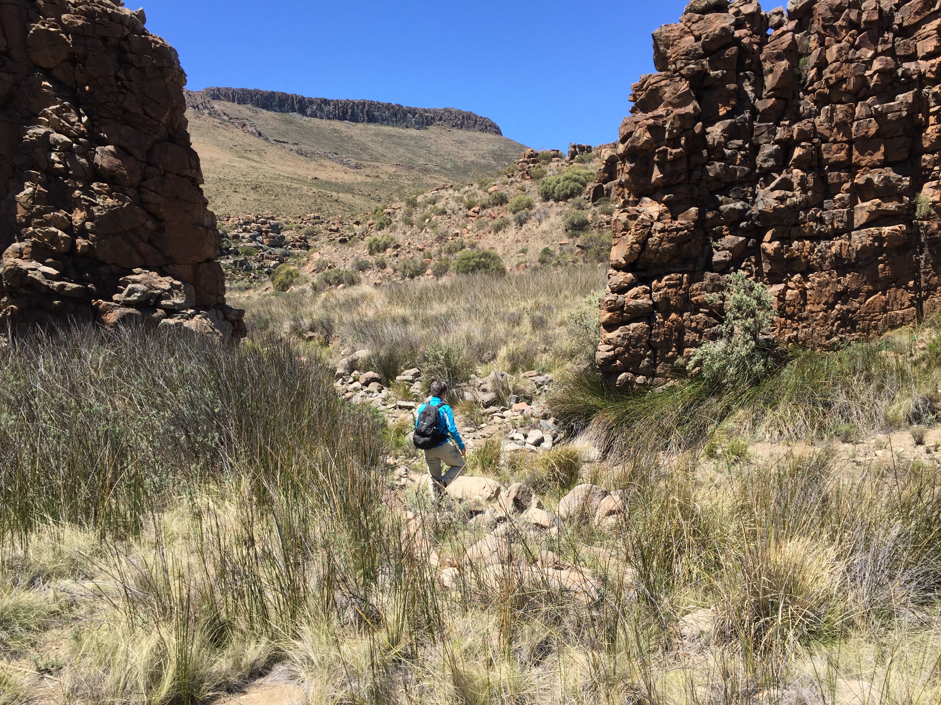 Bergplaas. Walking through the gate.