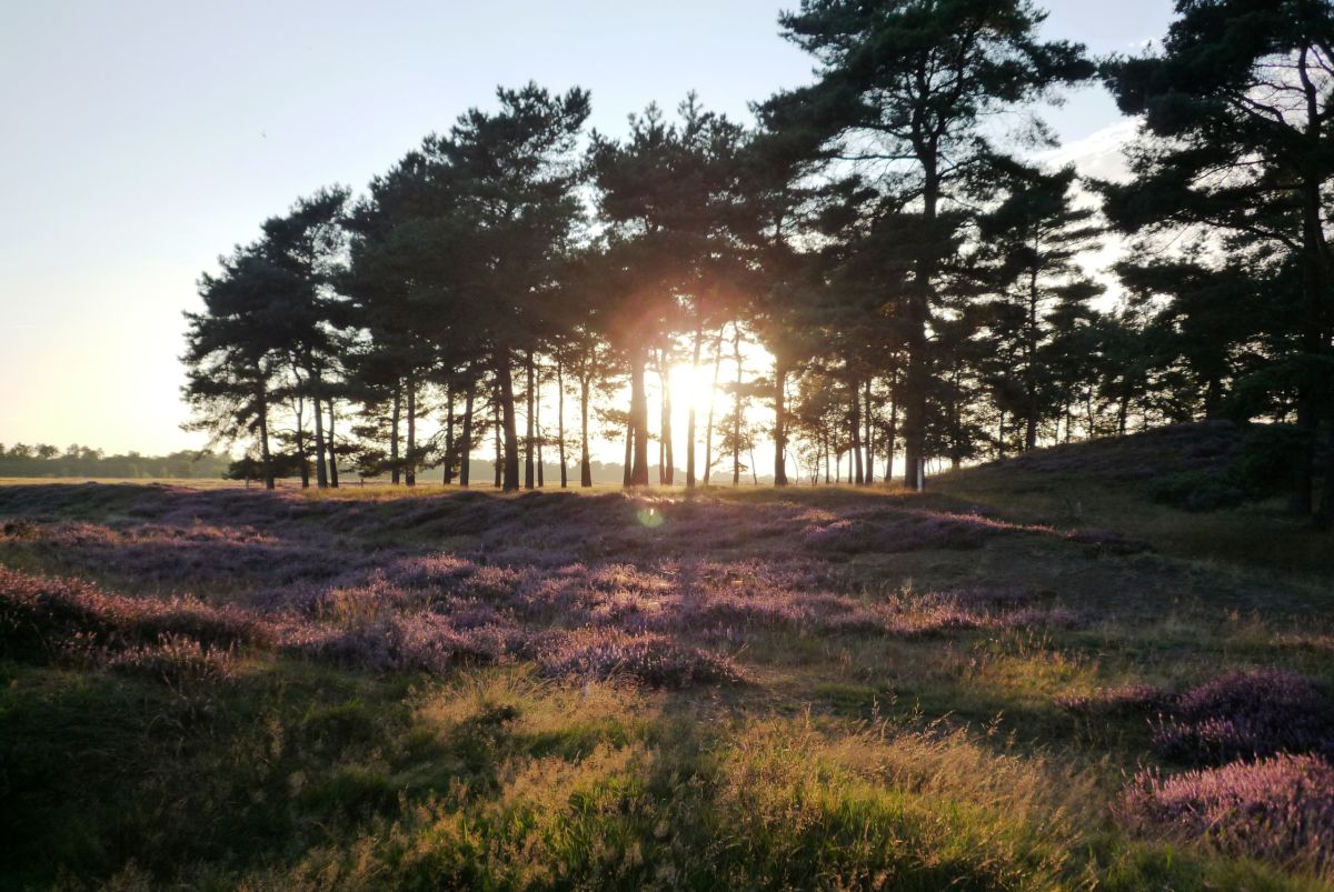 Grensen stellen en respecteren. In de natuur, thuis en op je werk.