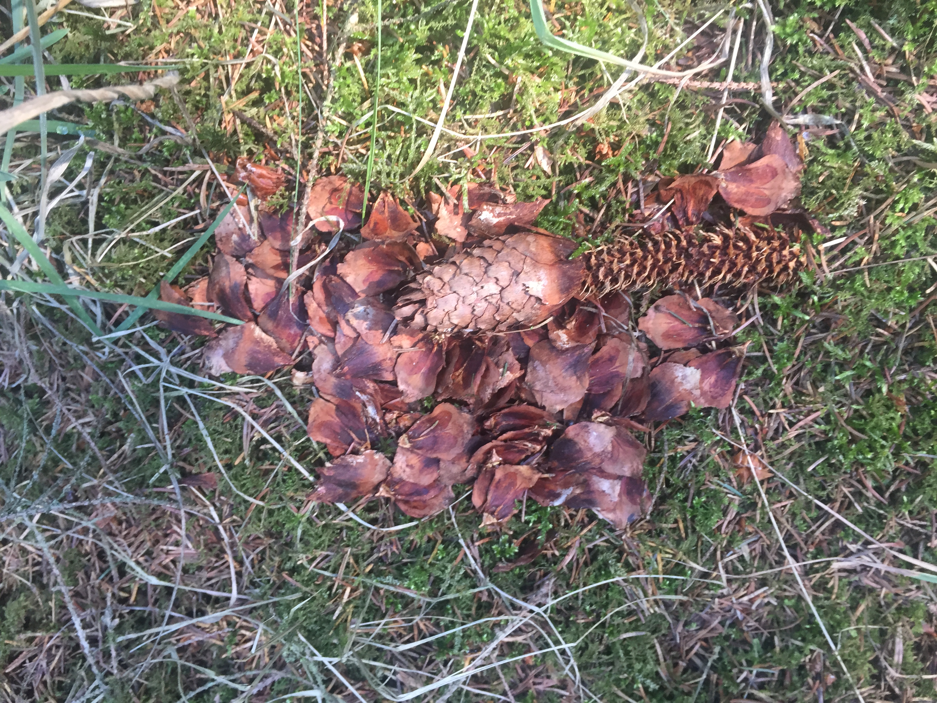 Wie is hier aan het eten geweest? Zo te zien was het lekker én genoeg.