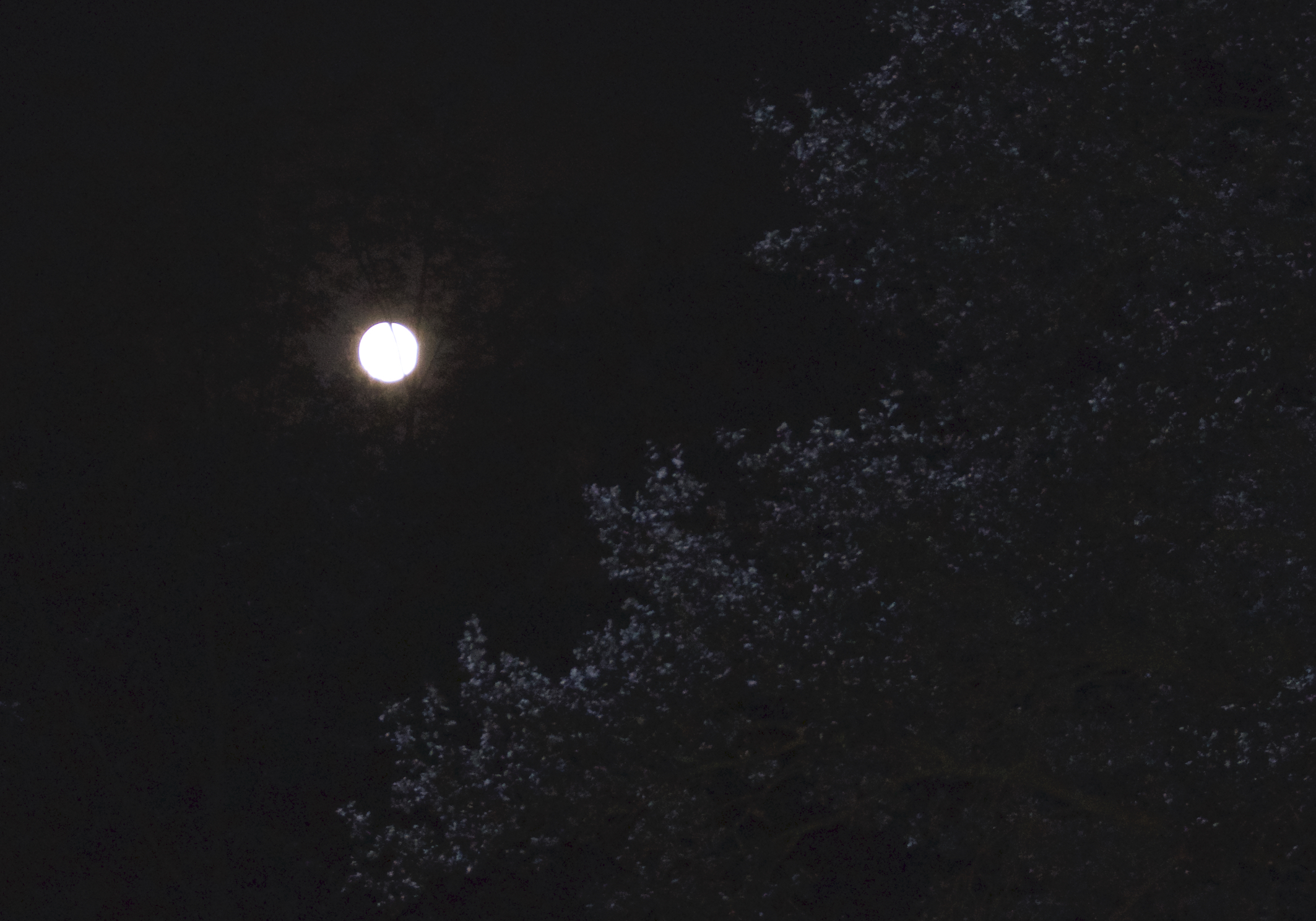 Spirit of Nature Volle maan magie in de avond